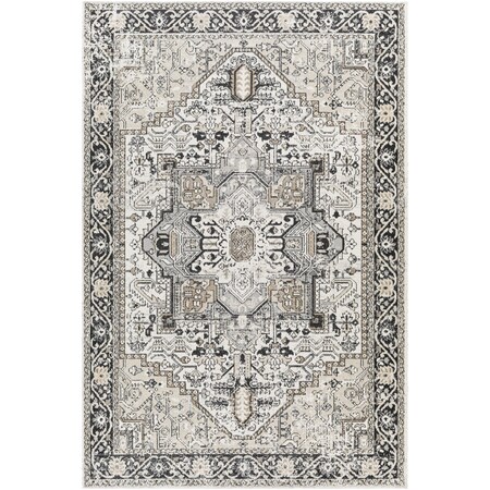 Livabliss Lavadora LVR-2322 Machine Washable Area Rug LVR2322-9312
